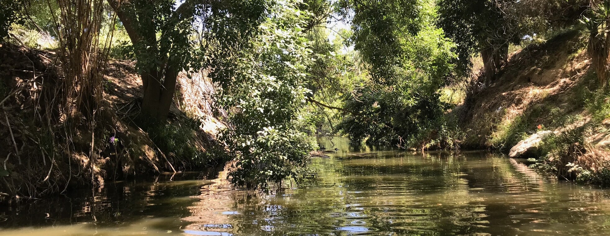 August RAFT Field Day